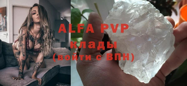 мет Алексин