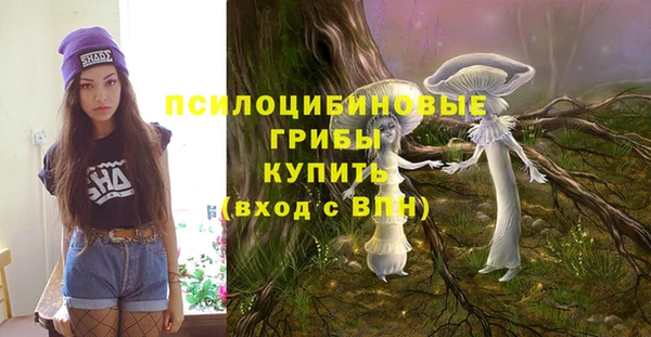 мет Алексин