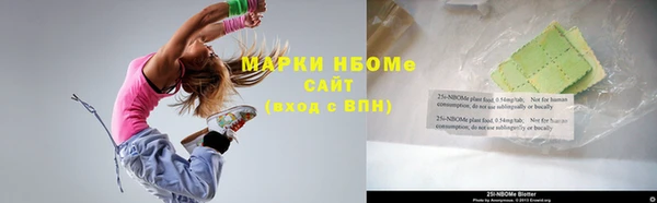 мет Алексин