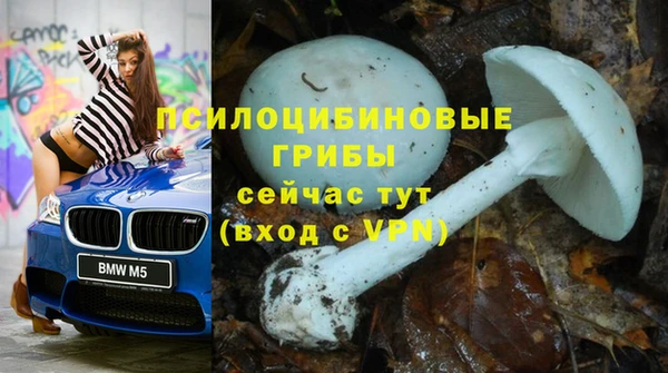 соль курить ск Алексеевка
