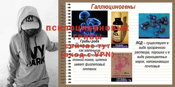 герыч Алзамай