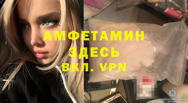 мет Алексин