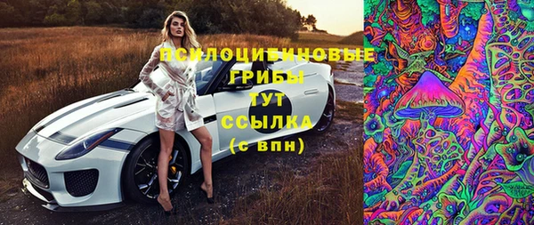 соль курить ск Алексеевка