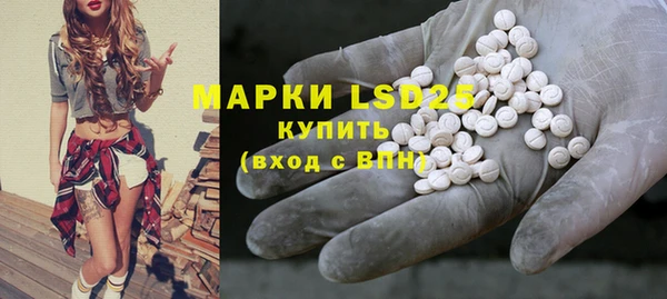 мет Алексин
