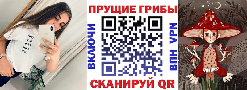 Галлюциногенные грибы MAGIC MUSHROOMS  Лесосибирск 