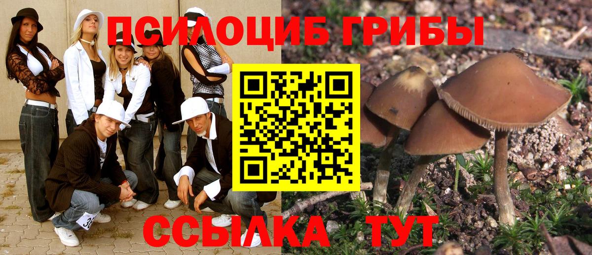 Лесосибирск  Псилоцибиновые грибы MAGIC MUSHROOMS  Вход с VPN 
