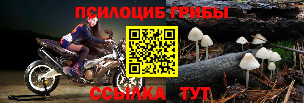 Галлюциногенные грибы мухоморы Лесосибирск