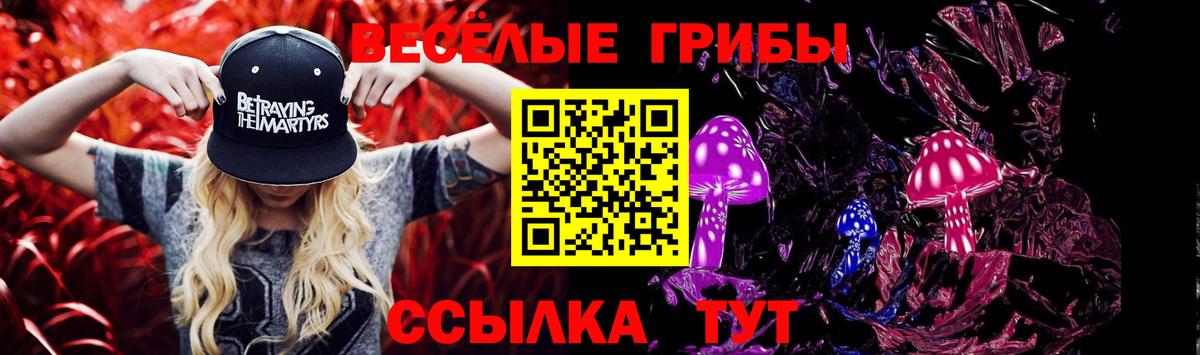 Псилоцибиновые грибы GOLDEN TEACHER  где купить наркотик  Лесосибирск 